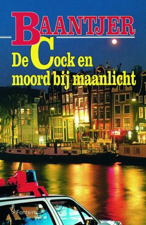 De Cock en moord bij maanlicht - Читать Любимую Русскую Полную Книгу 👉 Read-E-Book.com