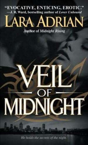 Velo de Medianoche - Читать Любимую Русскую Полную Книгу 👉 Read-E-Book.com