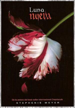 Luna Nueva - Читать Любимую Русскую Полную Книгу 👉 Read-E-Book.com