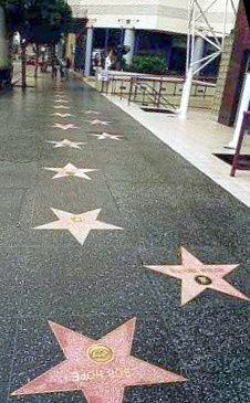 Stars on the sidewalk by Costachi S.E. - Читать Любимую Русскую Полную Книгу 👉 Read-E-Book.com