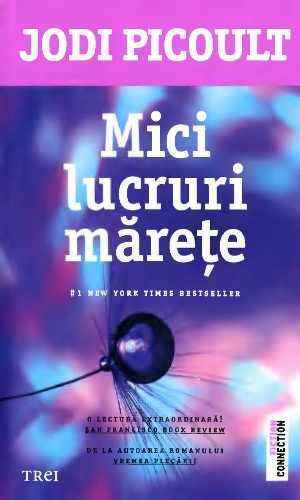 Mici Lucruri Mărețe de Jodi Picoult cărți - Читать Любимую Русскую Полную Книгу 👉 Read-E-Book.com