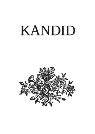 Kandid aŭ la Optimismo - Читать Любимую Русскую Полную Книгу 👉 Read-E-Book.com