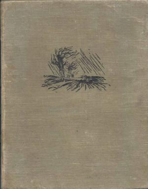 Фата Моргана - Читать Любимую Русскую Полную Книгу 👉 Read-E-Book.com