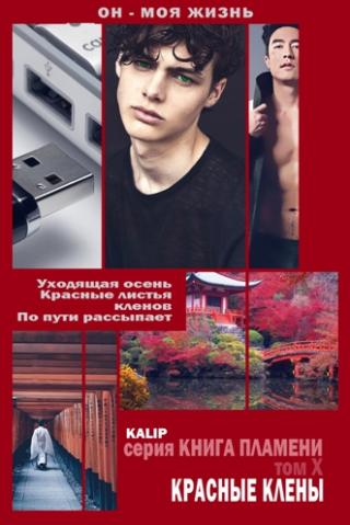 Красные клёны - Читать Любимую Русскую Полную Книгу 👉 Read-E-Book.com