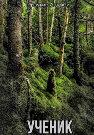 Ученик. Книга вторая [СИ] - Читать Любимую Русскую Полную Книгу 👉 Read-E-Book.com