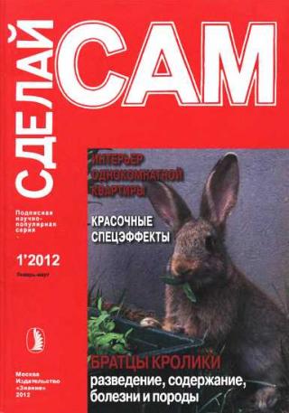 Интерьер однокомнатной квартиры. Красочные спецэффекты... ("Сделай сам" №1∙2012) - Читать Любимую Русскую Полную Книгу 👉 Read-E-Book.com