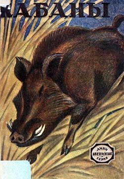 Кабаны - Читать Любимую Русскую Полную Книгу 👉 Read-E-Book.com