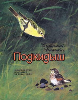 Подкидыш [Художник В. Федотов] - Читать Любимую Русскую Полную Книгу 👉 Read-E-Book.com