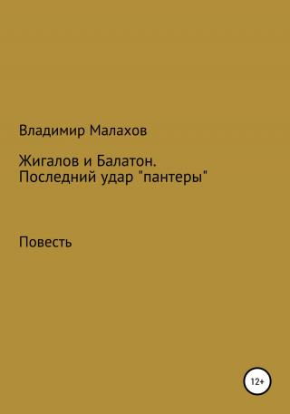 Жигалов и Балатон. Последний удар «пантеры» - Читать Любимую Русскую Полную Книгу 👉 Read-E-Book.com