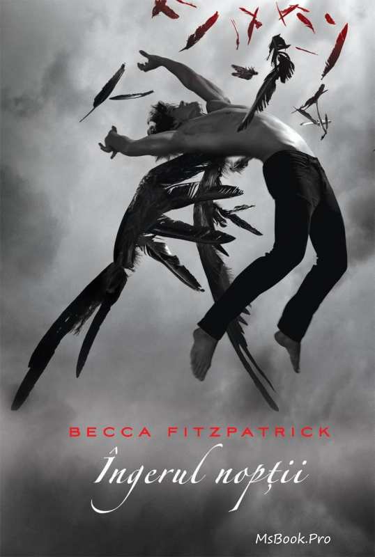 Îngerul nopții de Becca Fitzpatrick vol.1 - Читать Любимую Русскую Полную Книгу 👉 Read-E-Book.com