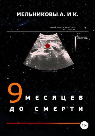 9 месяцев до смерти - Читать Любимую Русскую Полную Книгу 👉 Read-E-Book.com