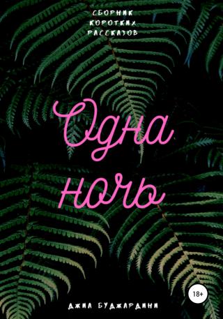 Одна ночь - Читать Любимую Русскую Полную Книгу 👉 Read-E-Book.com