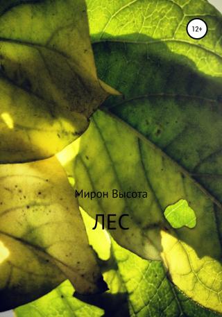 Лес - Читать Любимую Русскую Полную Книгу 👉 Read-E-Book.com