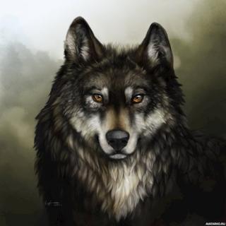 Закон жизни - Читать Любимую Русскую Полную Книгу 👉 Read-E-Book.com