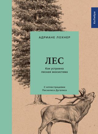 Лес. Как устроена лесная экосистема [litres] - Читать Любимую Русскую Полную Книгу 👉 Read-E-Book.com