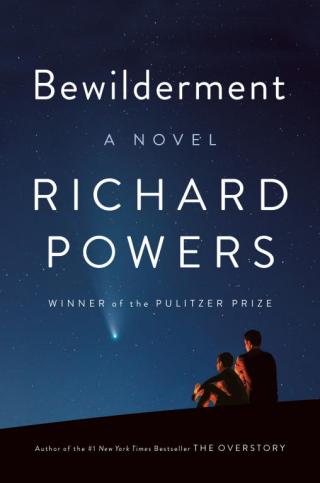 Bewilderment - Читать Любимую Русскую Полную Книгу 👉 Read-E-Book.com