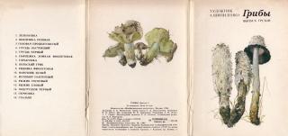 Грибы. Выпуск 3 - Читать Любимую Русскую Полную Книгу 👉 Read-E-Book.com