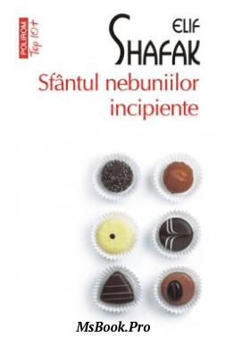 Sfantul nebuniilor incipiente - Читать Любимую Русскую Полную Книгу 👉 Read-E-Book.com