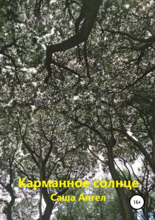 Карманное солнце - Читать Любимую Русскую Полную Книгу 👉 Read-E-Book.com