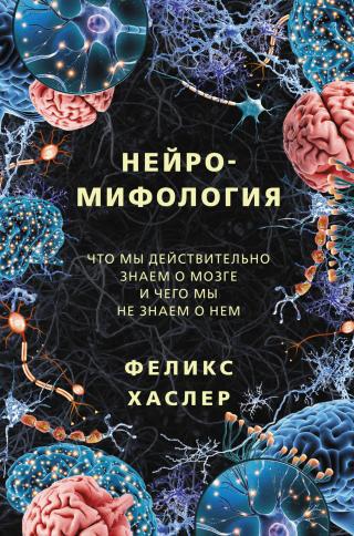 Нейромифология. Что мы действительно знаем о мозге и чего мы не знаем о нем - Читать Любимую Русскую Полную Книгу 👉 Read-E-Book.com