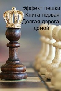 Эффект пешки. Книга первая. Долгая дорога домой (СИ) - Читать Любимую Русскую Полную Книгу 👉 Read-E-Book.com