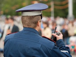 Свистун-затейник. Часть 65 (СИ) - Читать Любимую Русскую Полную Книгу 👉 Read-E-Book.com