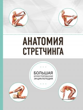 Анатомия стретчинга. Большая иллюстрированная энциклопедия - Читать Любимую Русскую Полную Книгу 👉 Read-E-Book.com