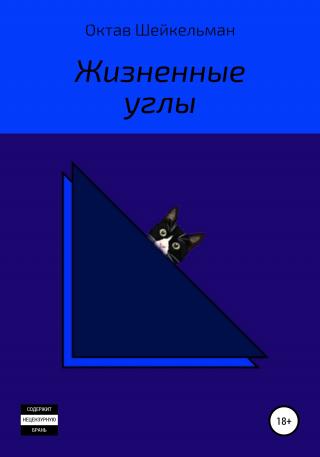 Жизненные углы - Читать Любимую Русскую Полную Книгу 👉 Read-E-Book.com