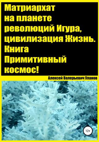 Матриархат на планете революций Игура, цивилизация Жизнь. Книга Примитивный космос! - Читать Любимую Русскую Полную Книгу 👉 Read-E-Book.com