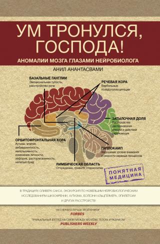 Ум тронулся, господа! Аномалии мозга глазами нейробиолога - Читать Любимую Русскую Полную Книгу 👉 Read-E-Book.com