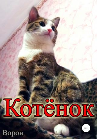 Котёнок - E-books read online (American English book and other foreign languages)