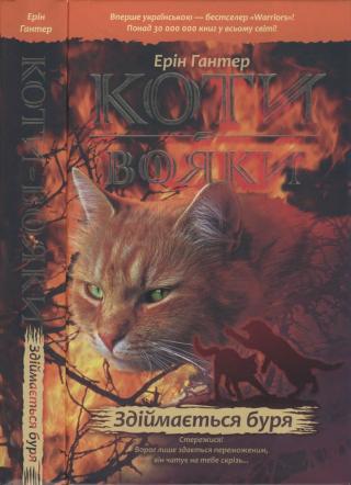 Здіймається буря - Читать Любимую Русскую Полную Книгу 👉 Read-E-Book.com