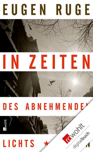 In Zeiten des abnehmenden Lichts - Читать Любимую Русскую Полную Книгу 👉 Read-E-Book.com