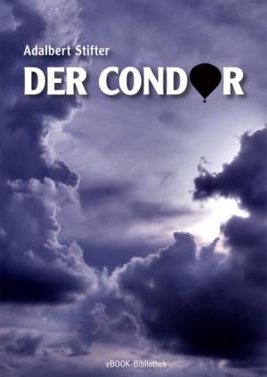 Der Condor - Читать Любимую Русскую Полную Книгу 👉 Read-E-Book.com