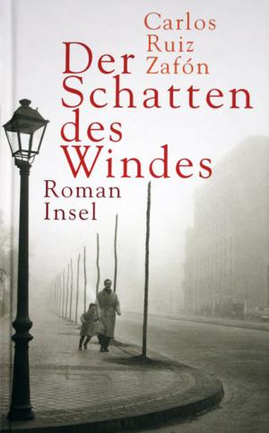 Der Schatten des Windes - Читать Любимую Русскую Полную Книгу 👉 Read-E-Book.com
