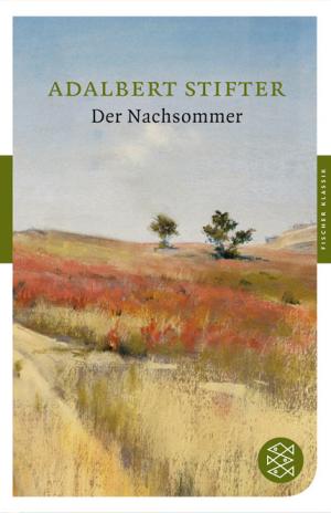 Der Nachsommer - Читать Любимую Русскую Полную Книгу 👉 Read-E-Book.com