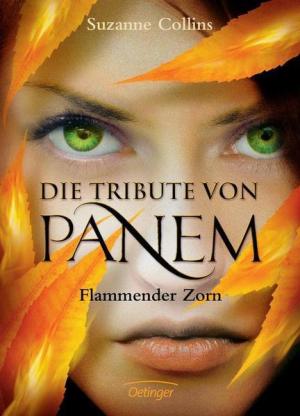 Die Tribute Von Panem. Flammender Zorn - Читать Любимую Русскую Полную Книгу 👉 Read-E-Book.com