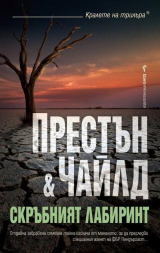 Скръбният лабиринт - Читать Любимую Русскую Полную Книгу 👉 Read-E-Book.com